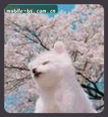 周敏
