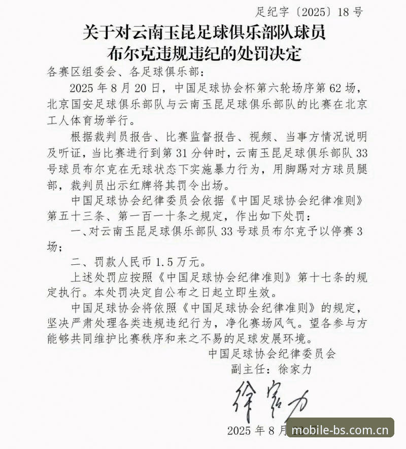 第三批禁足名单公布后，BSPORTS赛事直播手机版用户该怎么读懂足协这次重罚？